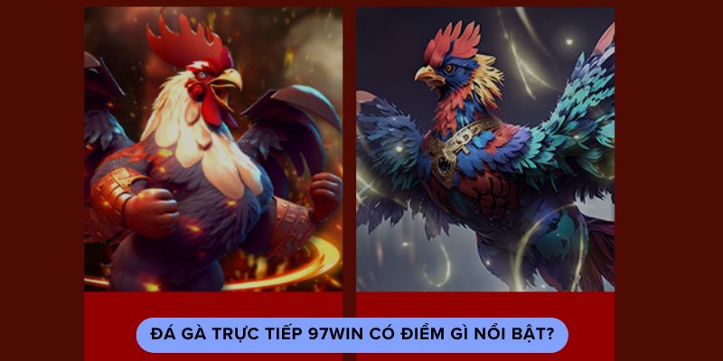 Đá gà trực tiếp 97win có điểm gì nổi bật?