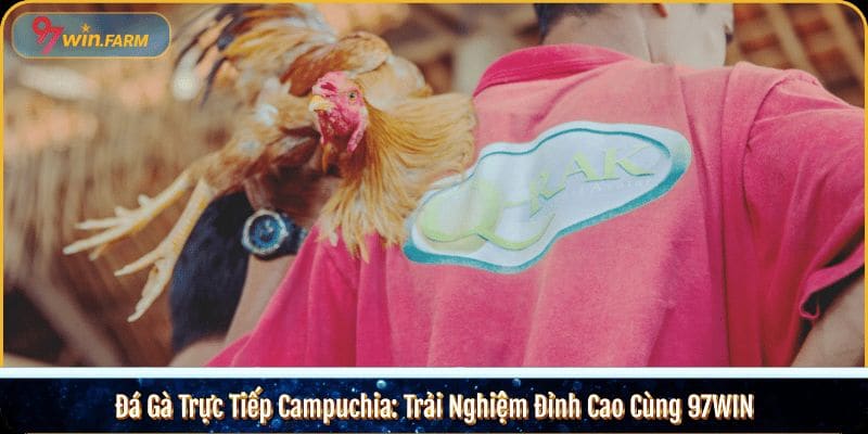 Đá Gà Trực Tiếp Campuchia: Trải Nghiệm Đỉnh Cao Cùng 97WIN